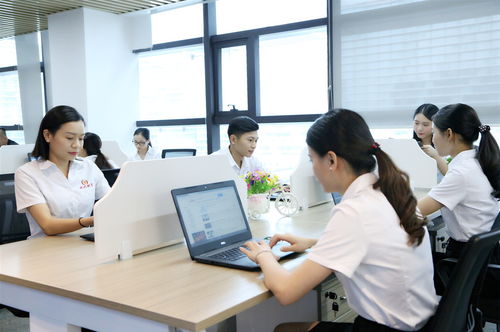 新公司注冊后，選擇代理記賬的三大好處與明智決策指南